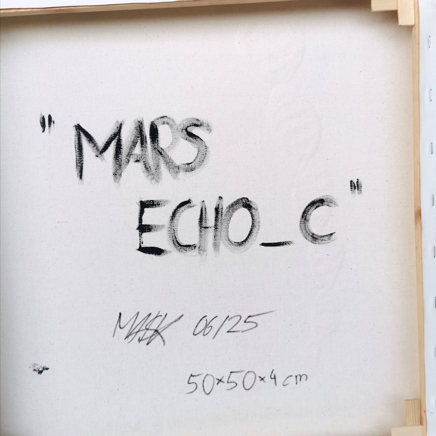 Mars Echo_C | Pop-Art Elon Musk | Original von MASK